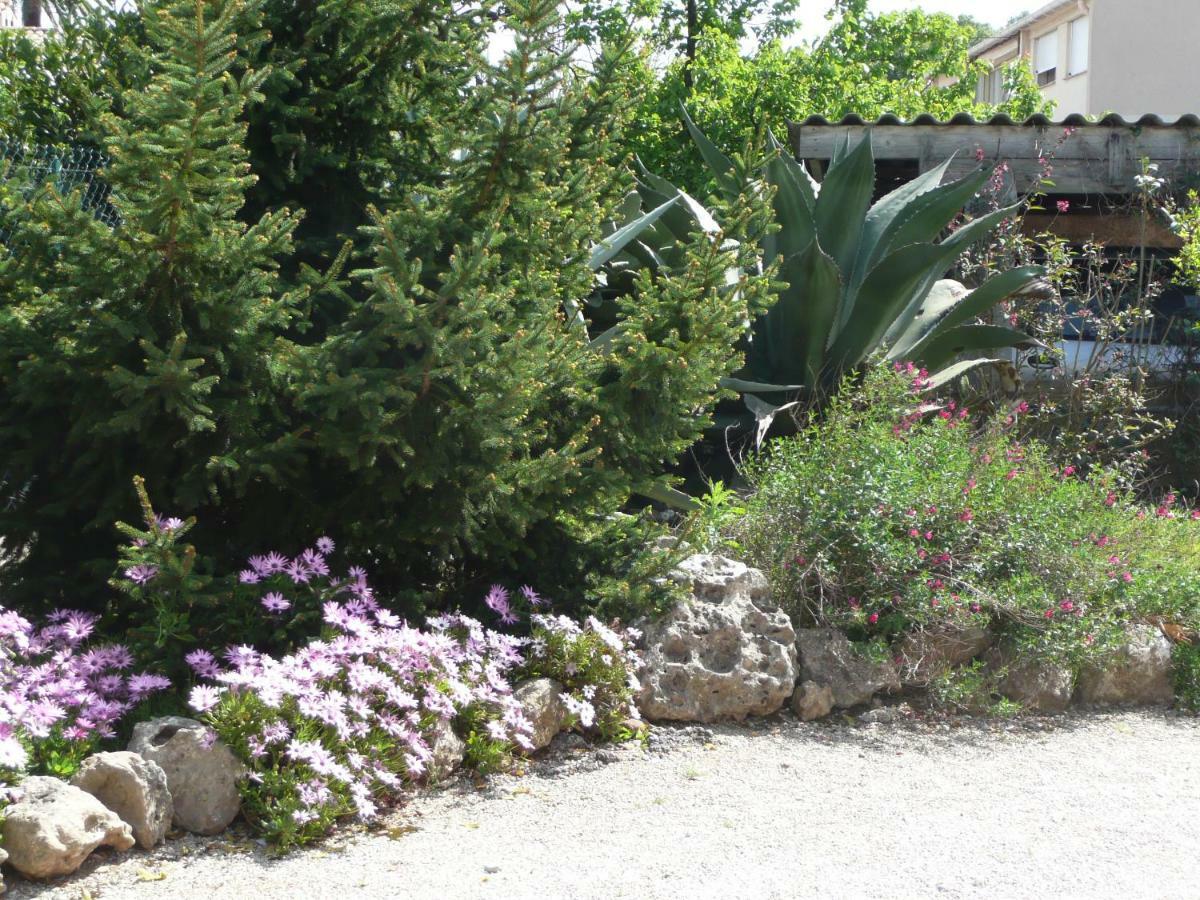 Villa "Les Cactees" Petite Residence De Tourisme Classee 3 Etoiles Antibes Exteriör bild